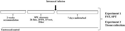 NPY1 Receptor Agonist Modulates Development of Depressive-Like Behavior and Gene Expression in Hypothalamus in SPS Rodent PTSD Model